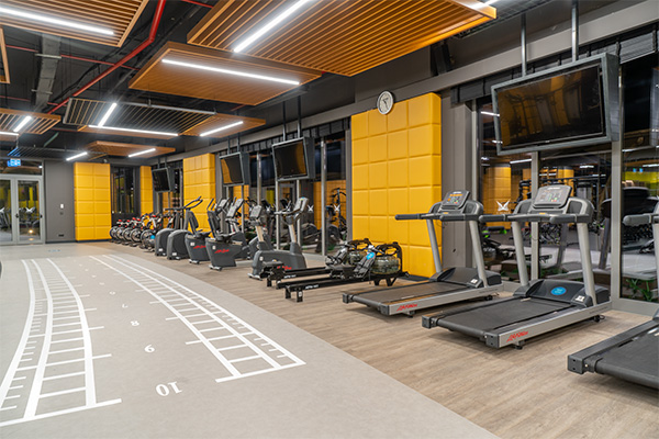 Liberty Fabay Aktiviteler Ücretsiz Aktiviteler Fitness Merkezi